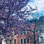Altes Handelshaus 3* Plauen