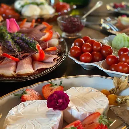 Altes Handelshaus Плауэн