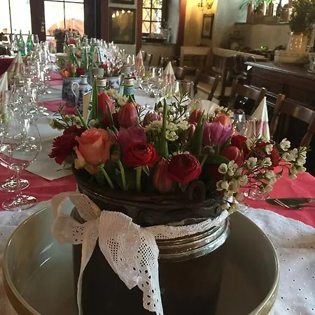 Altes Handelshaus Гостевой дом Плауэн