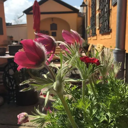 Gasthof Altes Handelshaus