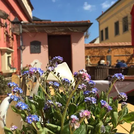 Altes Handelshaus Гостевой дом Плауэн