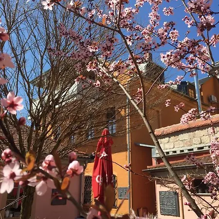 Gasthof Altes Handelshaus Plauen