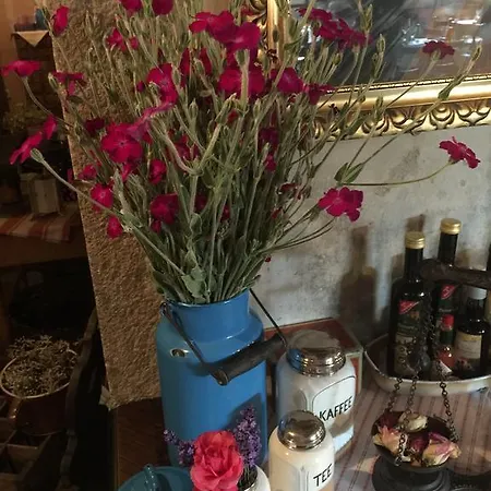 Altes Handelshaus Плауэн