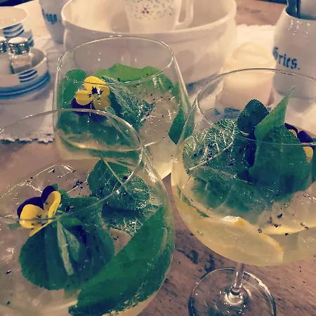 Altes Handelshaus Гостевой дом Плауэн