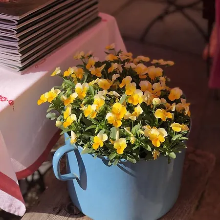 Altes Handelshaus 3*