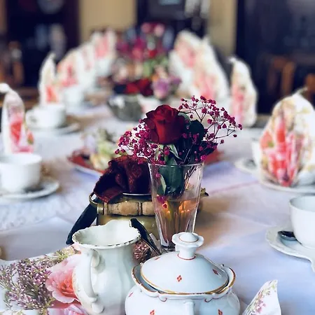 Altes Handelshaus Гостевой дом Плауэн