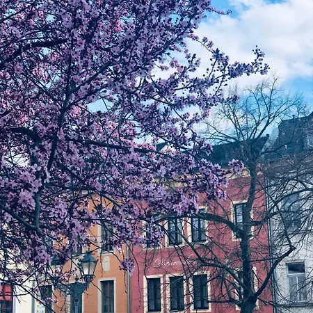 Altes Handelshaus 3* Plauen