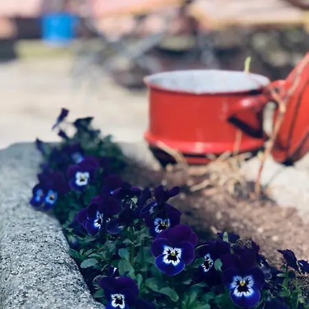 Gasthof Altes Handelshaus Plauen