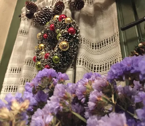 Altes Handelshaus 3* פלאואן