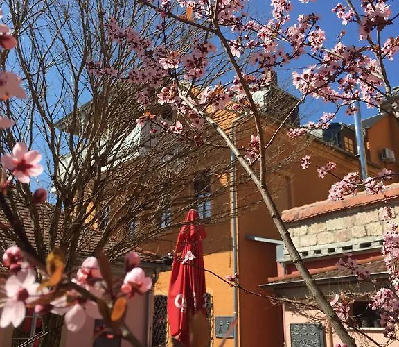 בית הארחה Altes Handelshaus פלאואן