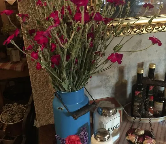 Altes Handelshaus פלאואן