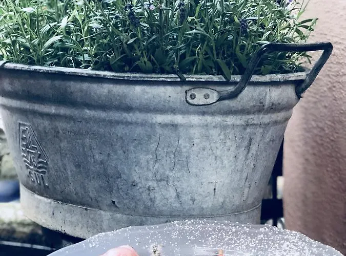 Altes Handelshaus 3*