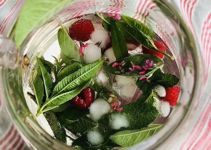 Altes Handelshaus בית הארחה פלאואן