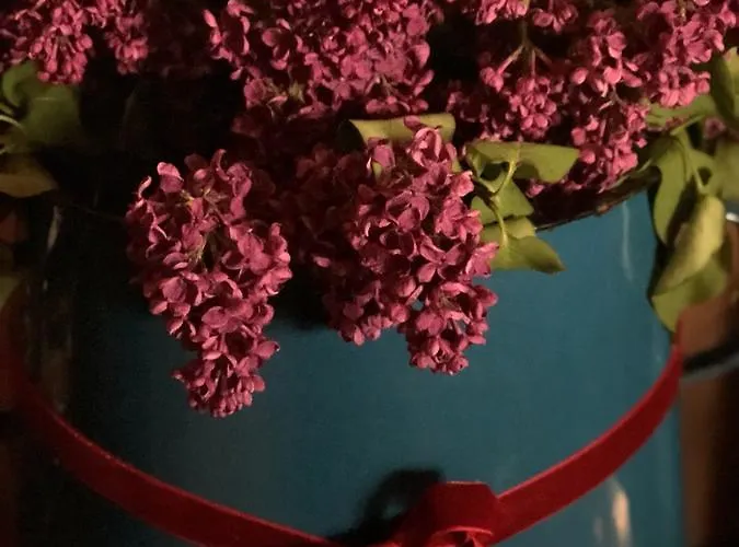 Altes Handelshaus 3*